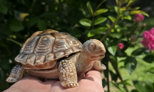 Wade porcelain turtle made - wade, turtle—