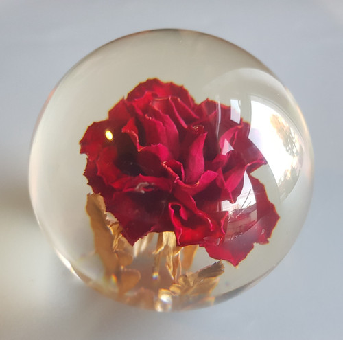 Hafod grange lucite - hafod,