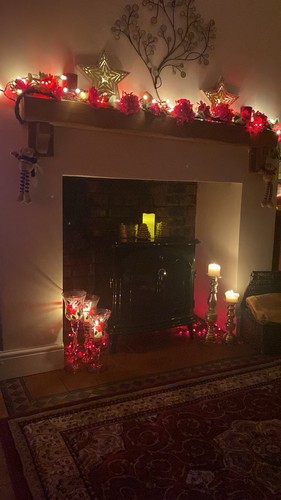 Dimplex electric fire real - fire,