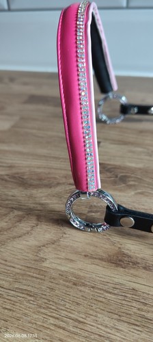 Miniature horse show - , halter