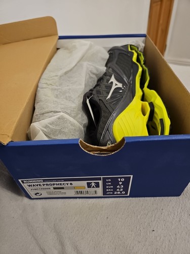 Mizuno wave prophecy - prophecy, uk