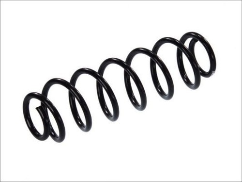 Rear axle suspension spring - rear,