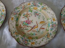 Royal Doulton Bird  Paradise Plates  8.5in      
