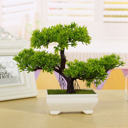 Bonsai artificial fake - bonsai,