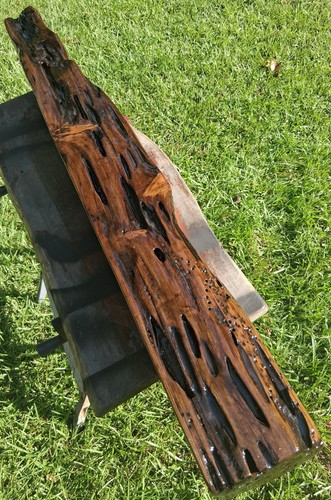 Ultra rare 2300 year old - year,