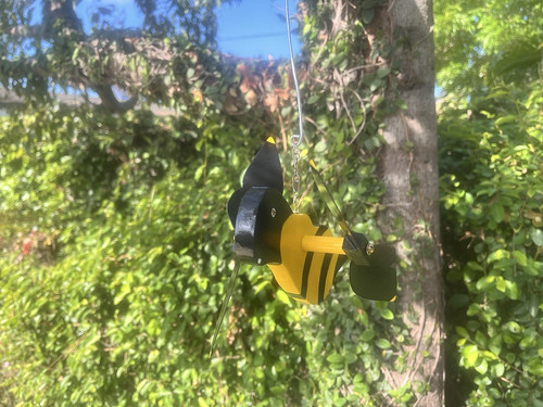 Honey bee whirligig - whirligig, wind
