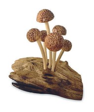Mushroom Wooden Toadstool