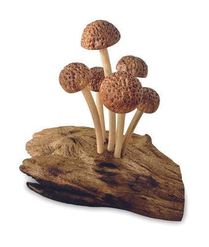 Mushroom wooden toadstool - mushroom,