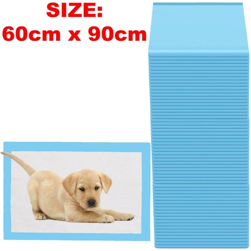 Large puppy training - x,