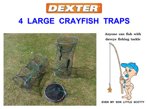 Large dexter crayfish - large,
