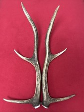 PAIR OF RED DEER ANTLERS