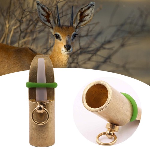 Deer grunt call muntjac - deer,