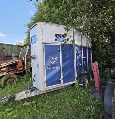 Blue white stall horse - white,
