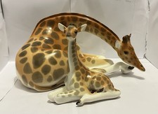 Large Lomonosov Giraffe Mother