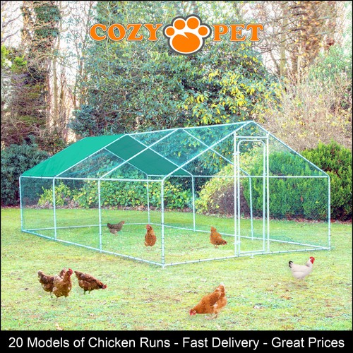 Chicken run sizes cozy - run,