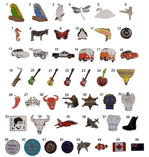 Pin badges lapel - brooch, metal