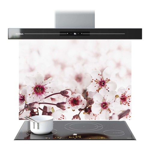 Kitchen glass splashback - kitchen,