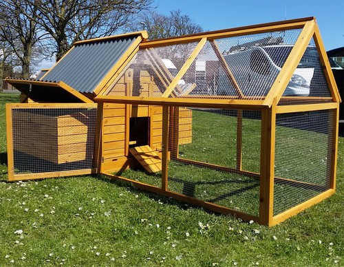Large eco chicken - large, hen
