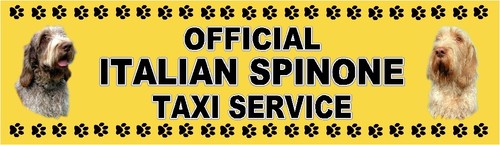 Italian spinone official taxi - italian,