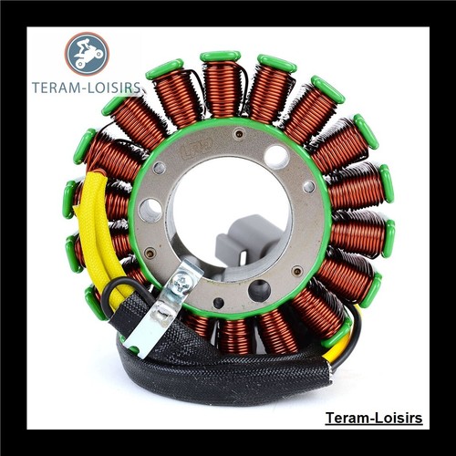 Stator alternator for sea - alternator,