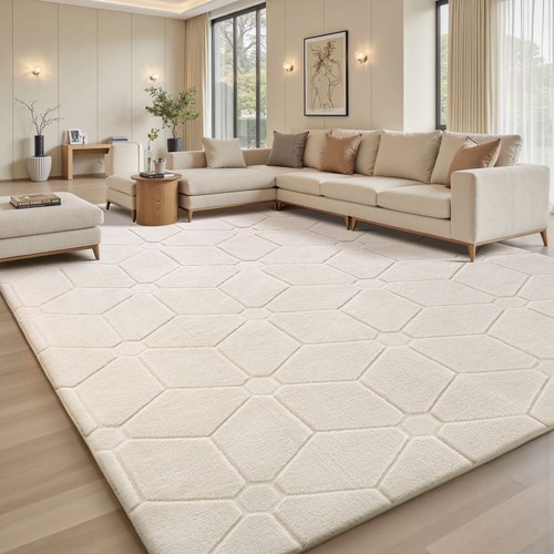 Fluffy rugs large - fluffy, shaggy