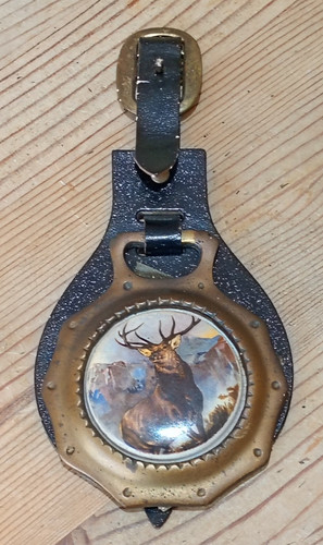 Horse brass with ceramic