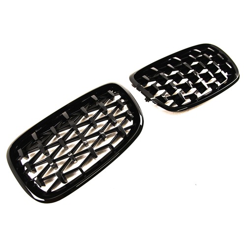 Front kidney grilles - grilles, gloss