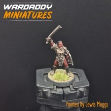 Pro Painted Warhammer Lotr OOP