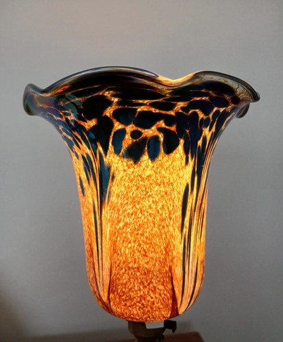 Stunning glass lamp shade - , by