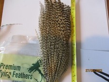 metz cock cape neck grizzle