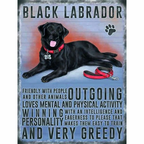 Black labrador fridge magnet - fridge,