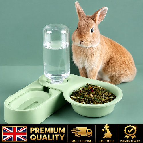 Rabbit guinea pig chinchilla - rabbit,