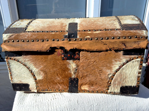 Antique 19th century cowhide - 19th,