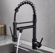 Pull-Out Sprayer Kitchen Sink