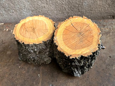 2 APRICOT DELUXE WOOD LOGS 4~5"H LBS For Smoking BBQ Grilling Straight Chunks