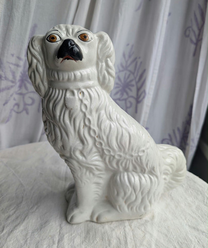 Staffordshire spaniel - 12",