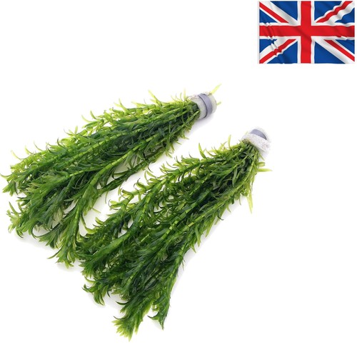 Strands egeria densa - of,