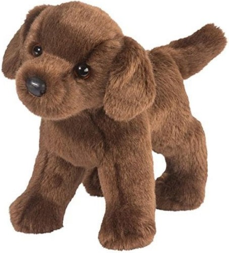 Douglas tucker chocolate lab - chocolate,