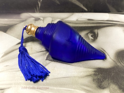 Cobalt blue seashell