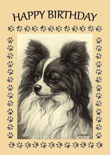Papillon dog birthday card - dog,