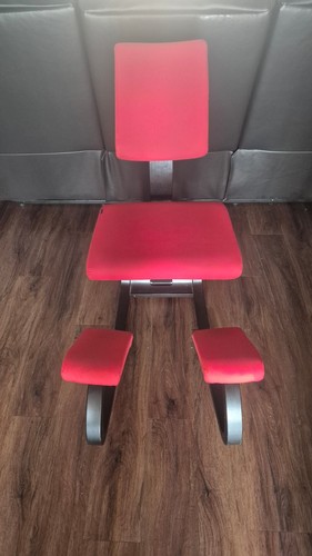 Varier balans plus ergonomic - balans,