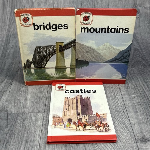 Ladybird leaders books series - books,
