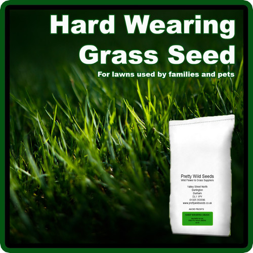 2kg grass seed hard wearing - 2kg,