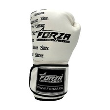 Forza Children’s Boxing