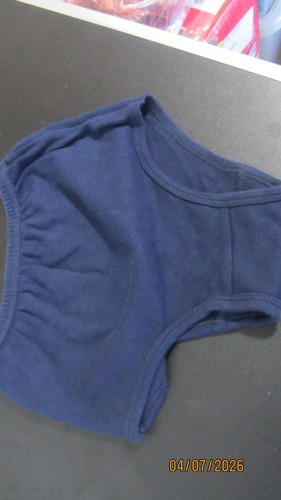 Vintage school knickers - school,