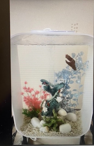 Biorb aquarium fish tank - biorb,