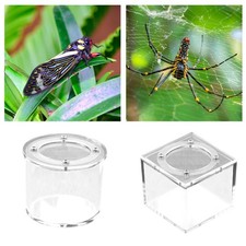 Reptile Breeding Box Spider