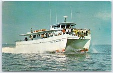 Miss Milwaukee II Catamaran Deep Sea Fishing Tarpon Springs FL Postcard