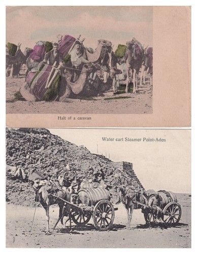 Vintage aden camel - 2, aden,