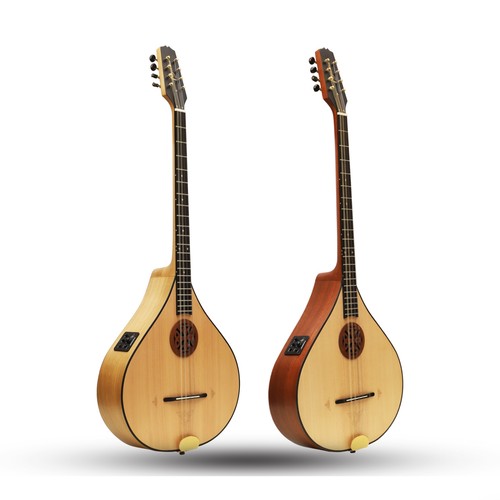 Traditional irish bouzouki - traditional,